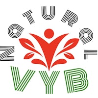 the logo for natural vyb